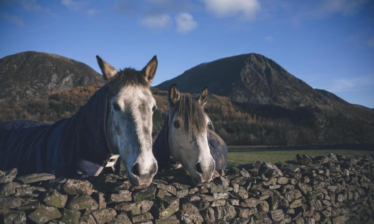 Cedar Nook Villa Loweswater Kültér fotó